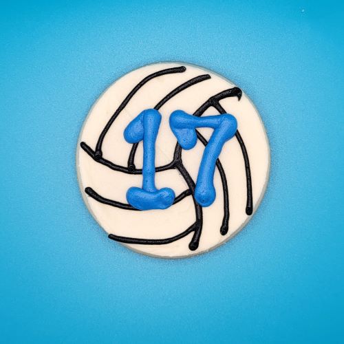 Buy Volleyball Cake Topper Name & Age Birthday Volleyball Birthday Cake  Online in India - Etsy